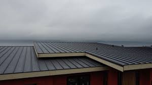 Best Storm Damage Roof Repair  in Washingtonville, NY